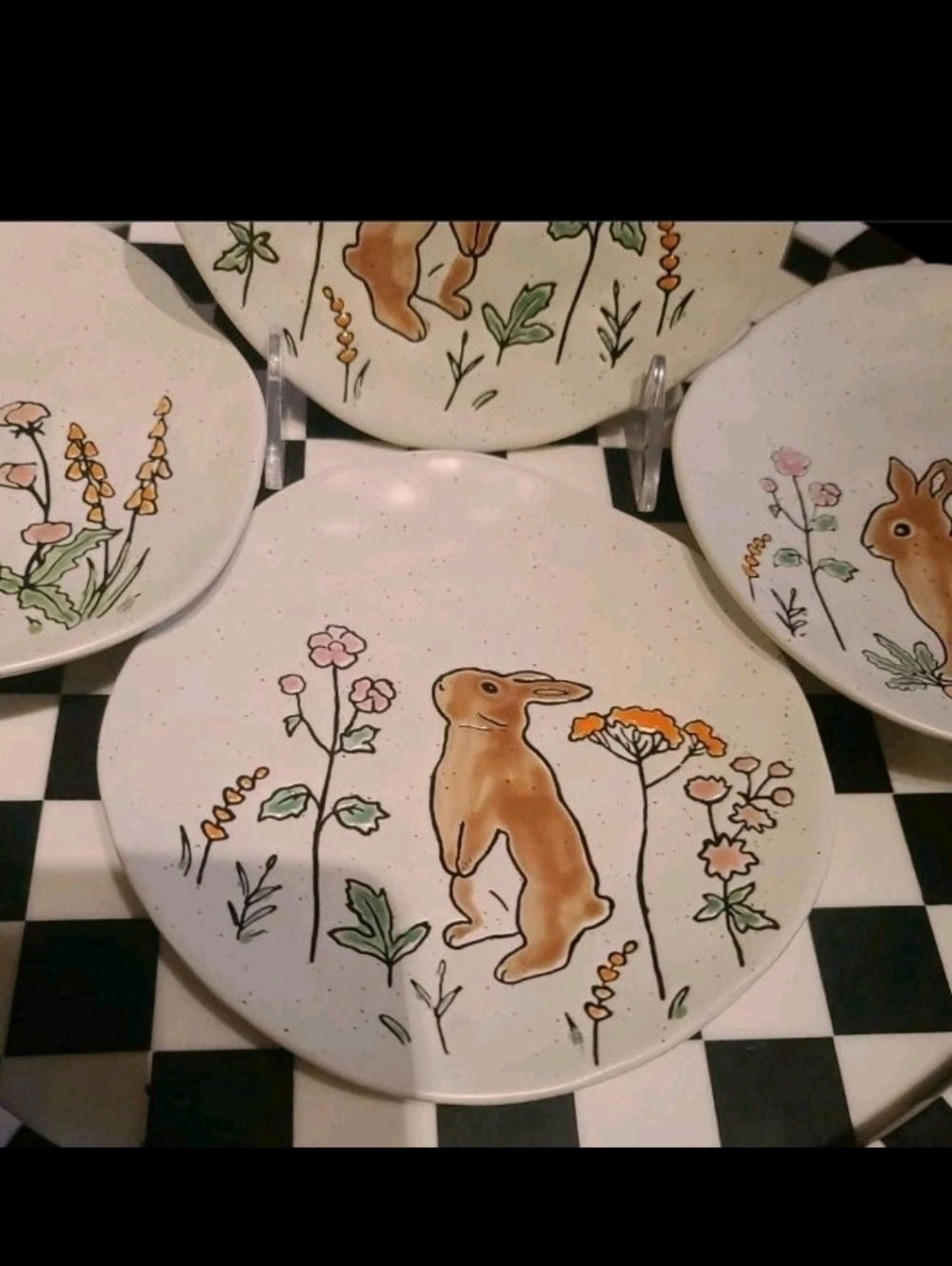 x4 Eli Ana Summer Franny Bunny Rabbit Etched Farmhouse App Dessert Plates Set 6" - Picture 6 of 8